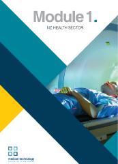 NZ Health Sector